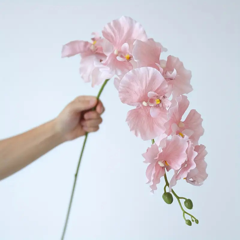 Ramo lungo Farfalla Orchidee F - Christmas Wreath Fake recensione e prezzo